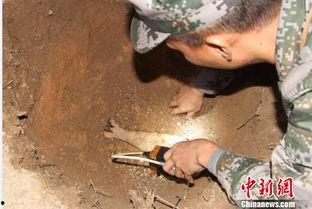 海南工地爆料事件视频播放,视频揭露惊人真相